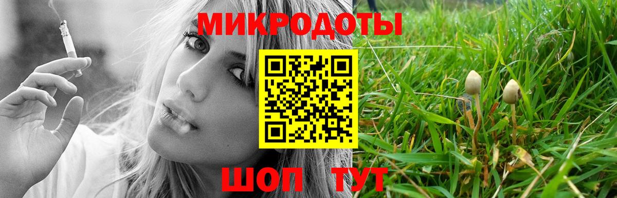 сколько стоит  Псилоцибиновые грибы GOLDEN TEACHER  Вход с VPN  Вышний Волочёк 